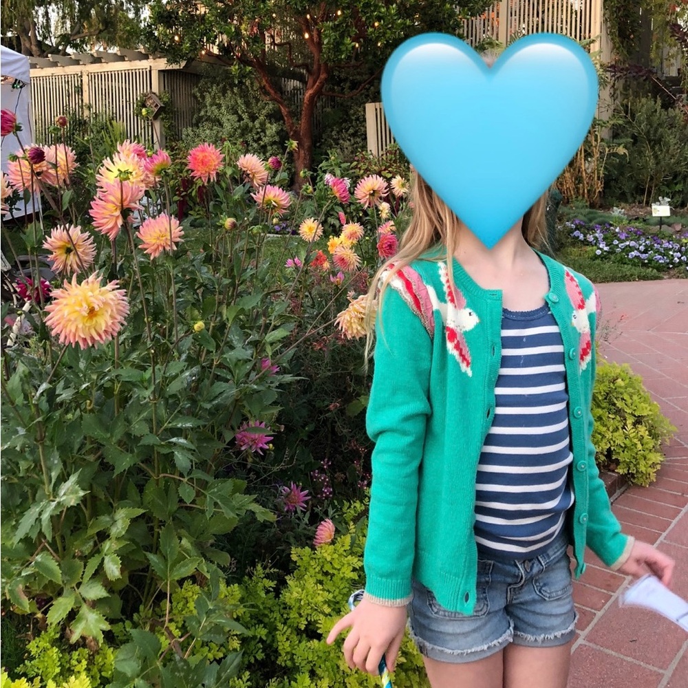 Mini Boden Girls Green Cardigan with Birds & Ruffles